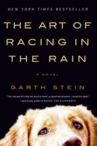 the-art-of-racing-in-the-rain